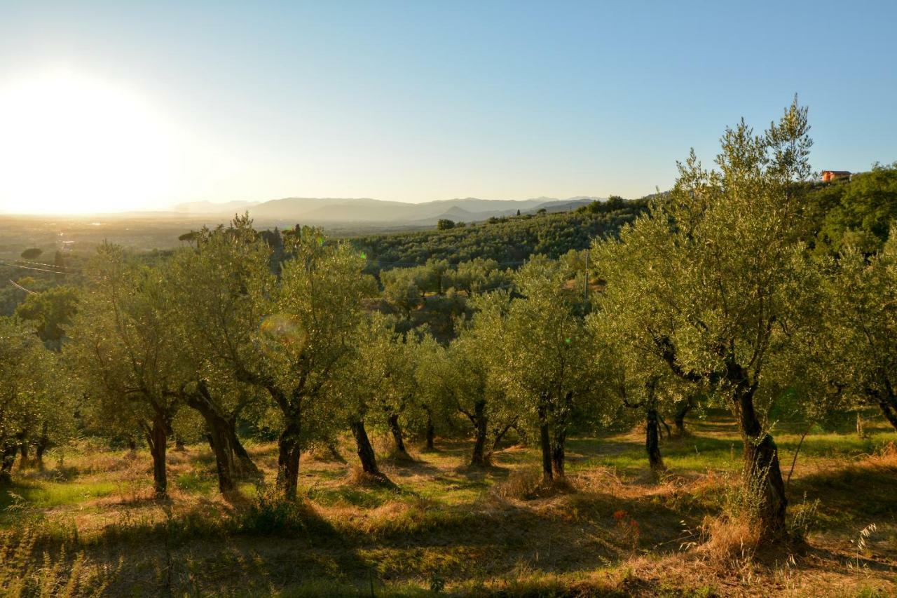 Agriturismo Podere Rondinaio Lamporecchio Exterior photo